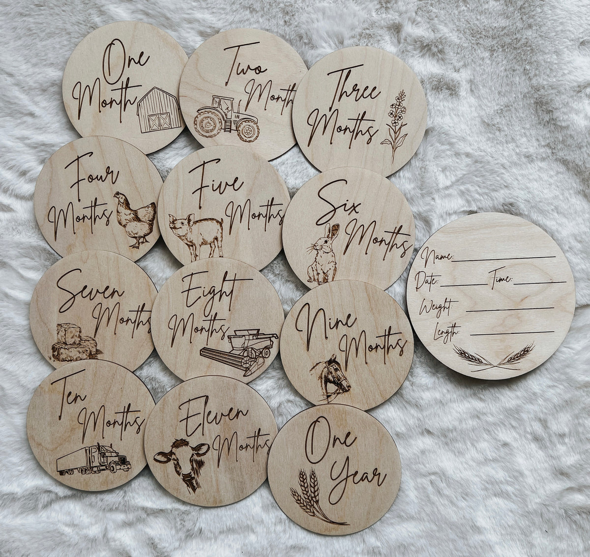Monthly Milestone Discs
