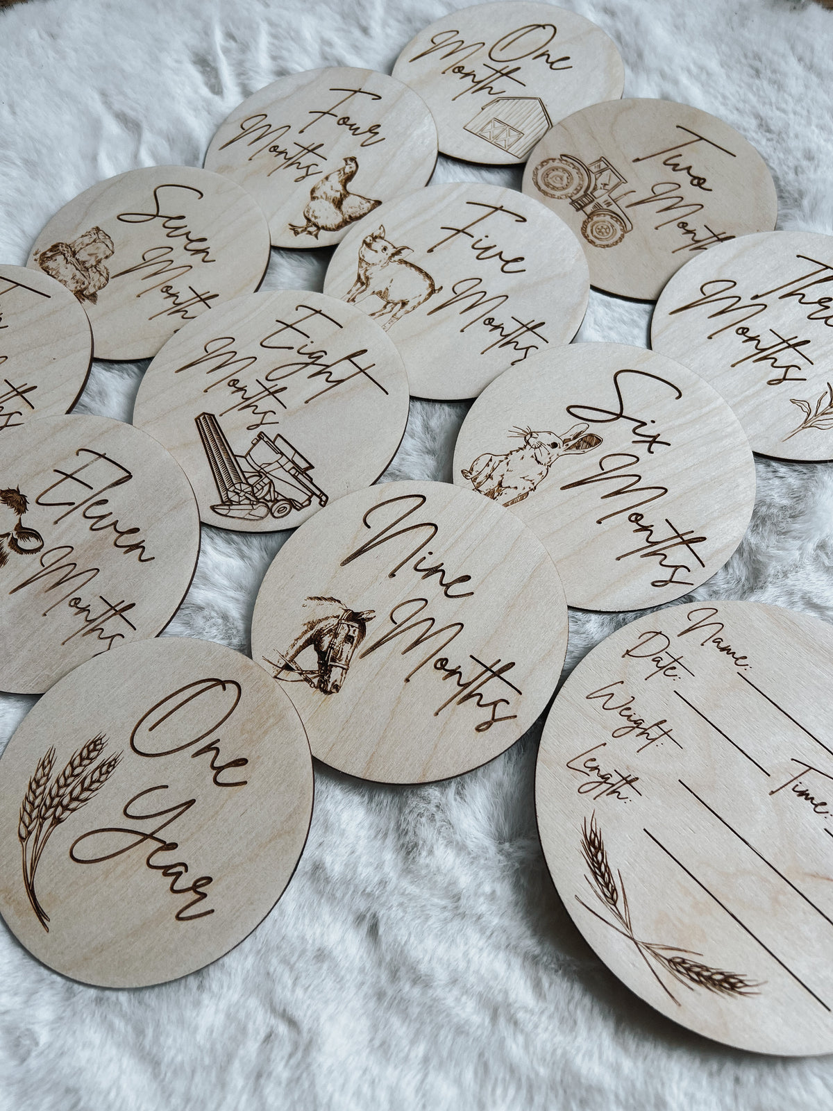 Monthly Milestone Discs