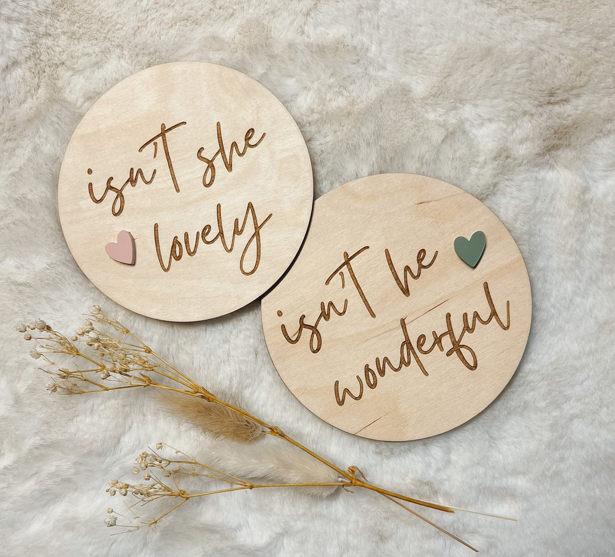 Gender Reveal Disc